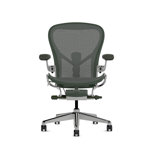 Herman Miller Aeron - Office Chair, Size C, Green Seat and Backrest, Polished Aluminum Base With Rubber Castors | Professional Appearance