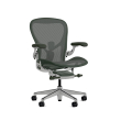 Herman Miller Aeron - Office Chair, Size C, Green Seat and Backrest, Polished Aluminum Base With Rubber Castors | Professional Appearance-1