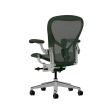 Herman Miller Aeron - Office Chair, Size C, Green Seat and Backrest, Polished Aluminum Base With Rubber Castors | Professional Appearance-5