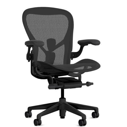 Herman Miller Aeron - Office Chair, Size C, Color Onyx with Onyx Steel Base With Headrest | Offices-1