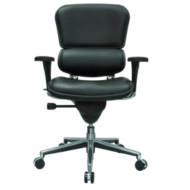 Ergohuman Ergohuman – Office Chair in Leather, Color Dark Green, on Castors | Desk Work