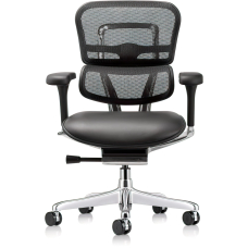 Ergohuman Ergohuman GEN2 – Office Chair, Seat – Leather, Backrest – Mesh, Color Black, on Castors | Ergonomic Support