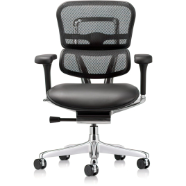 Ergohuman Ergohuman GEN2 – Office Chair, Seat – Leather, Backrest – Mesh, Color Black, on Castors | Ergonomic Support